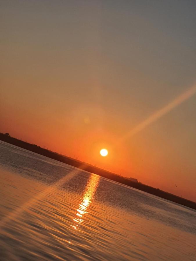 Coral -mamaia Nord Mamaia
