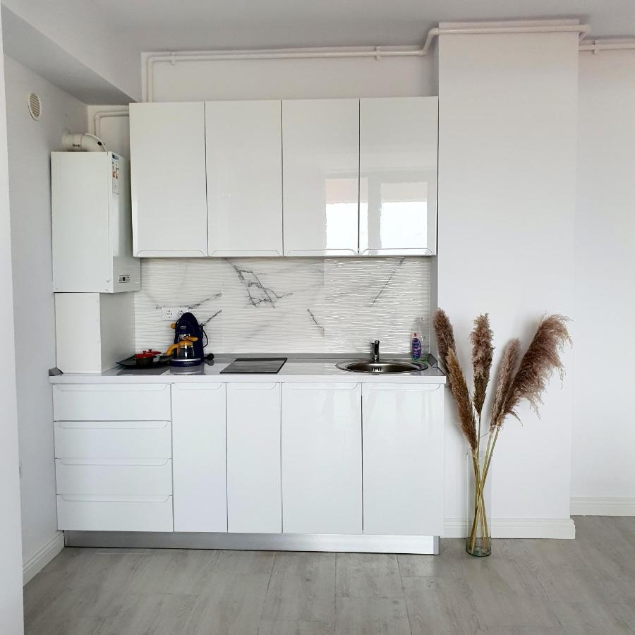Coral -mamaia Nord