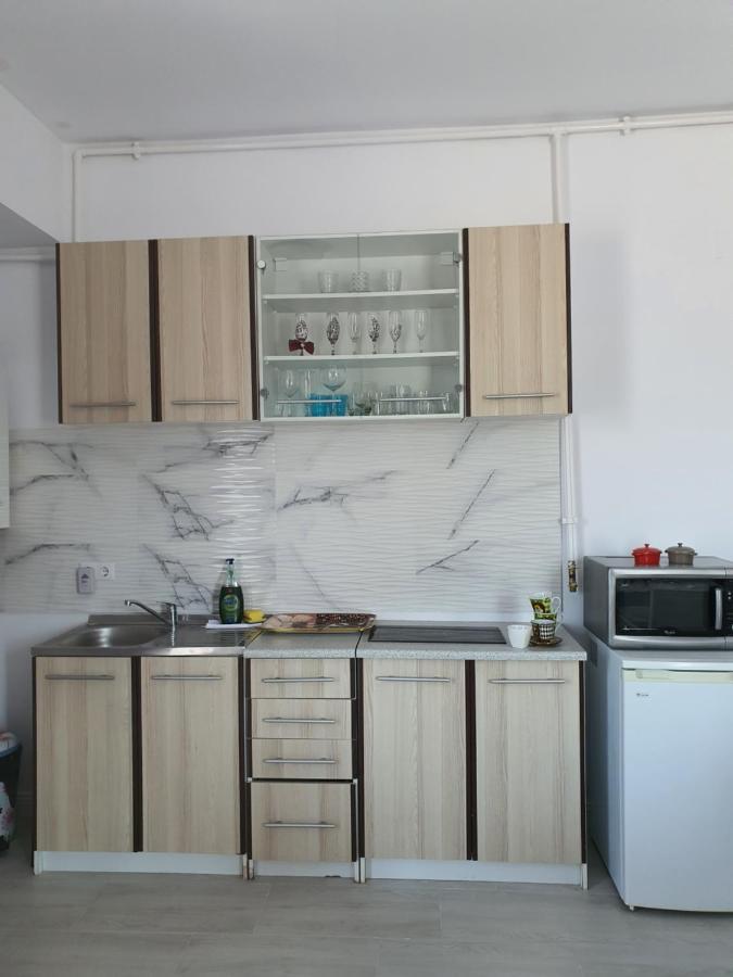 Coral -mamaia Nord