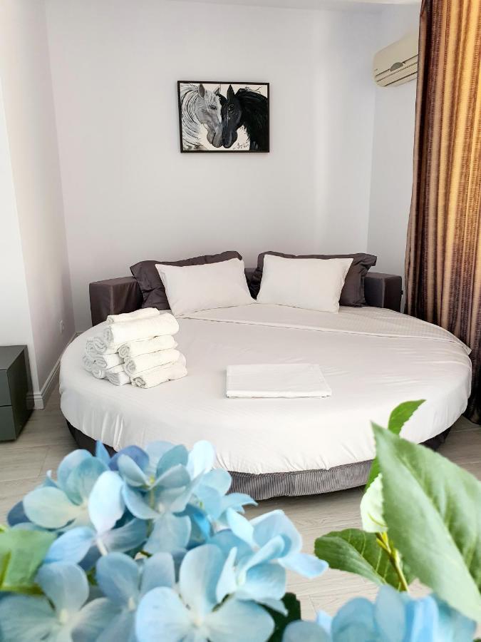 Coral -mamaia Nord * Mamaia